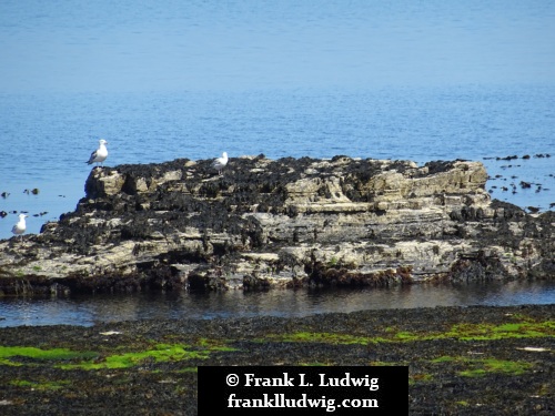 Bundoran Coast